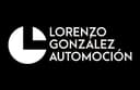 Lorenzo Gonzalez Automarket SL