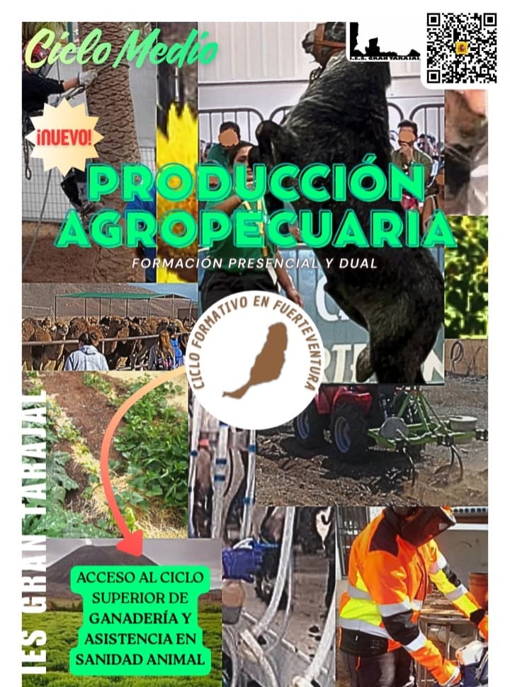 Producto