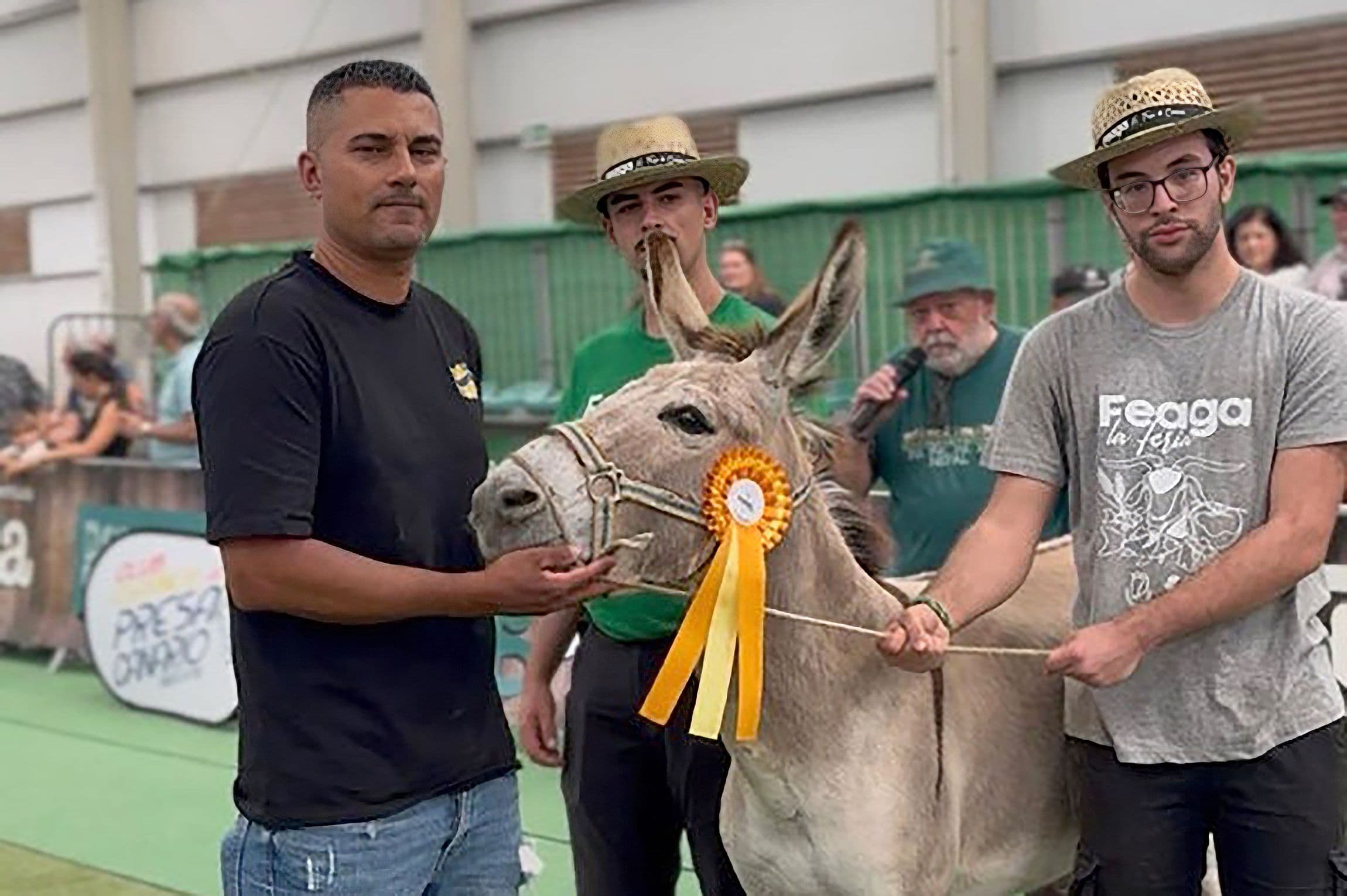 Tofio, Jandía y Niebla ganan el concurso de valoración morfológica del burro majorero