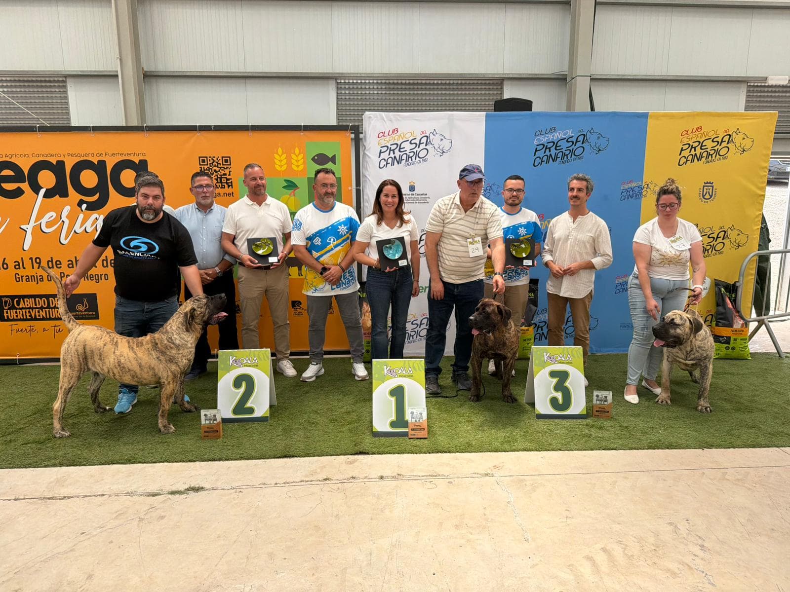 Celebrado el V Concurso Monográfico del Presa Canario  